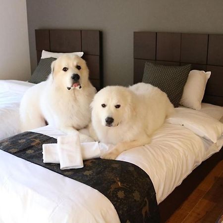 Miyajima Shiro 호텔 하쓰카이치 외부 사진